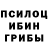 Псилоцибиновые грибы Cubensis Aida Sayakbaeva