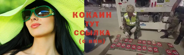 дурь Белокуриха