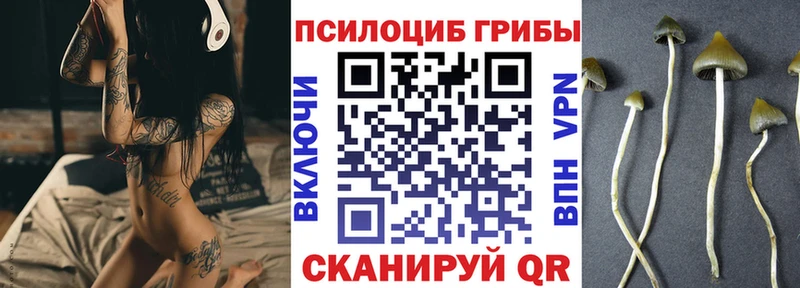 Галлюциногенные грибы MAGIC MUSHROOMS  Купить  Камень-на-Оби 